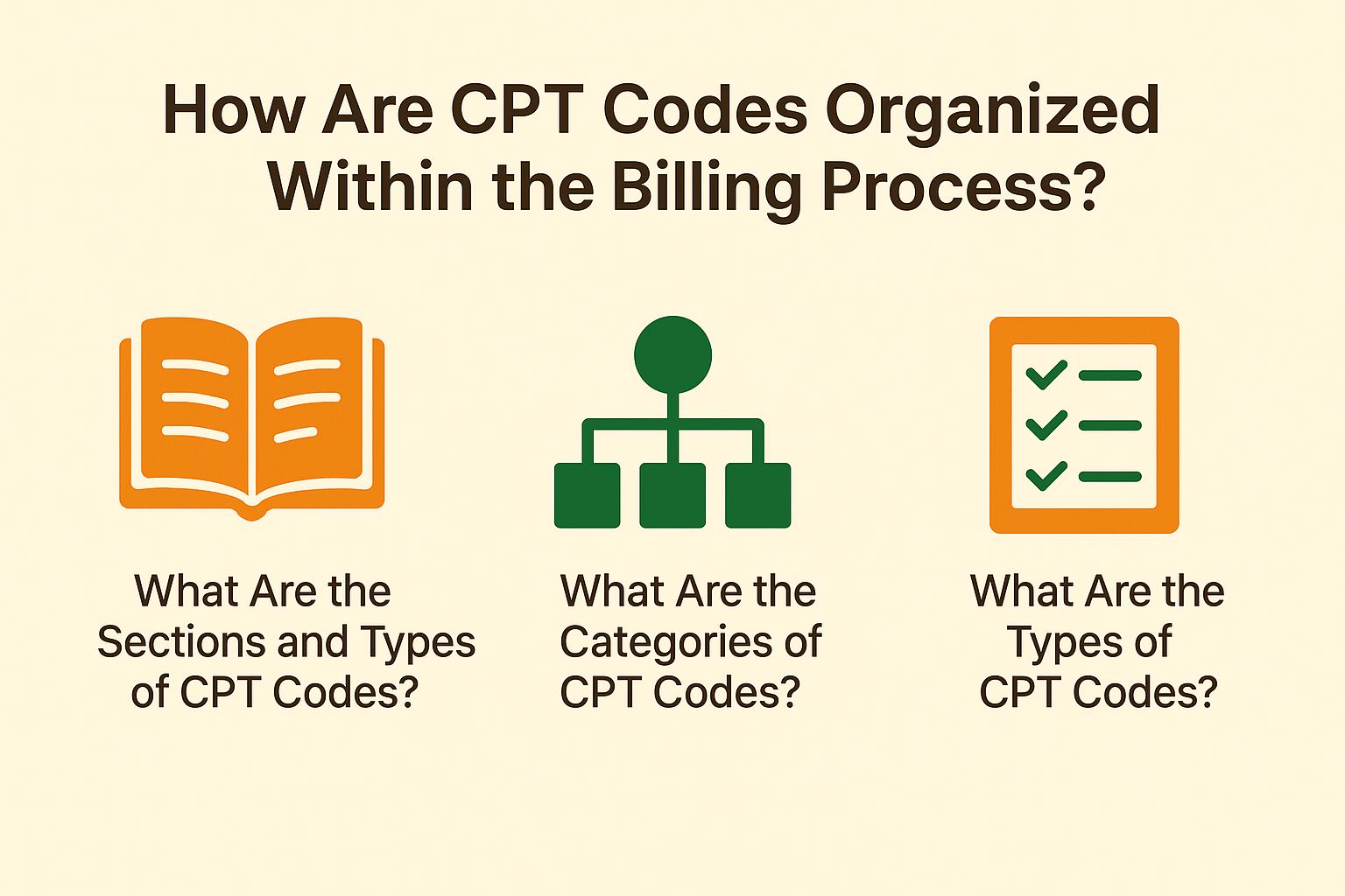 How Are CPT Codes Organized Within the Billing Process?